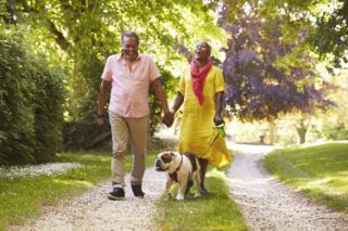 A senior couple walking their dog in a park