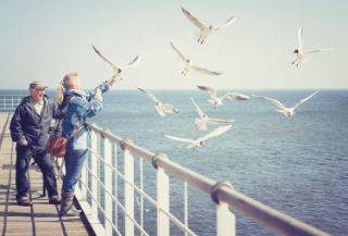 A senior couple on a pier feeding the seagulls