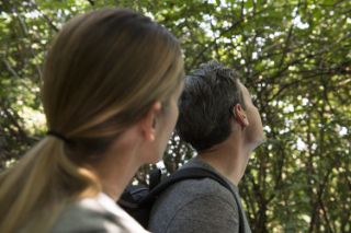 Una pareja caminando en la naturaleza, vistos de perfil