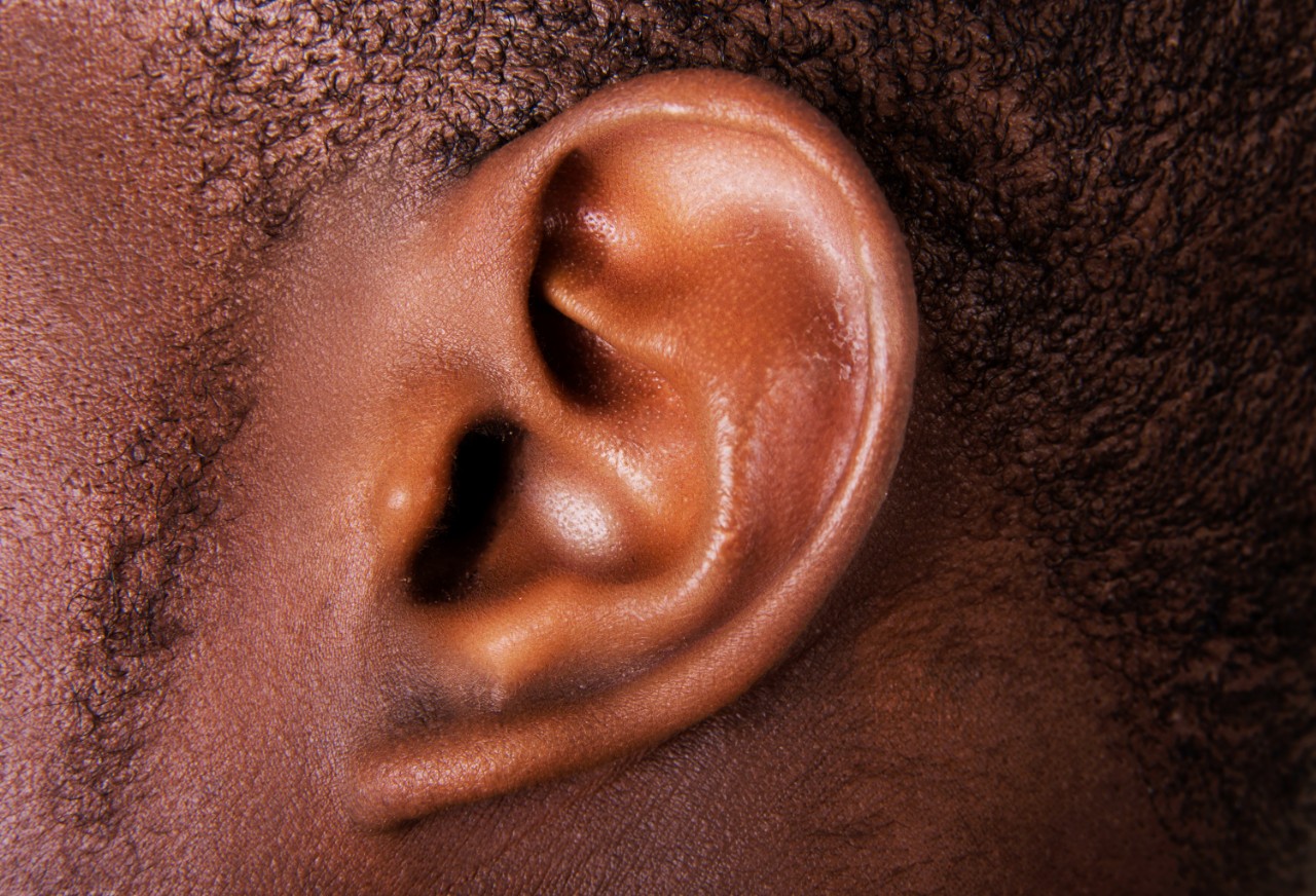 African American Ear